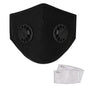 10-Pieces: Double Breathing Valve PM 2.5 Mask Respirator