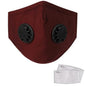 10-Pieces: Double Breathing Valve PM 2.5 Mask Respirator