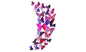12-Piece Set: 3D Butterfly Magnets - Assorted Colors