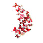 12-Piece Set: 3D Butterfly Magnets - Assorted Colors