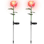 2-Pack: Solar LED Chrysanthemum Lights
