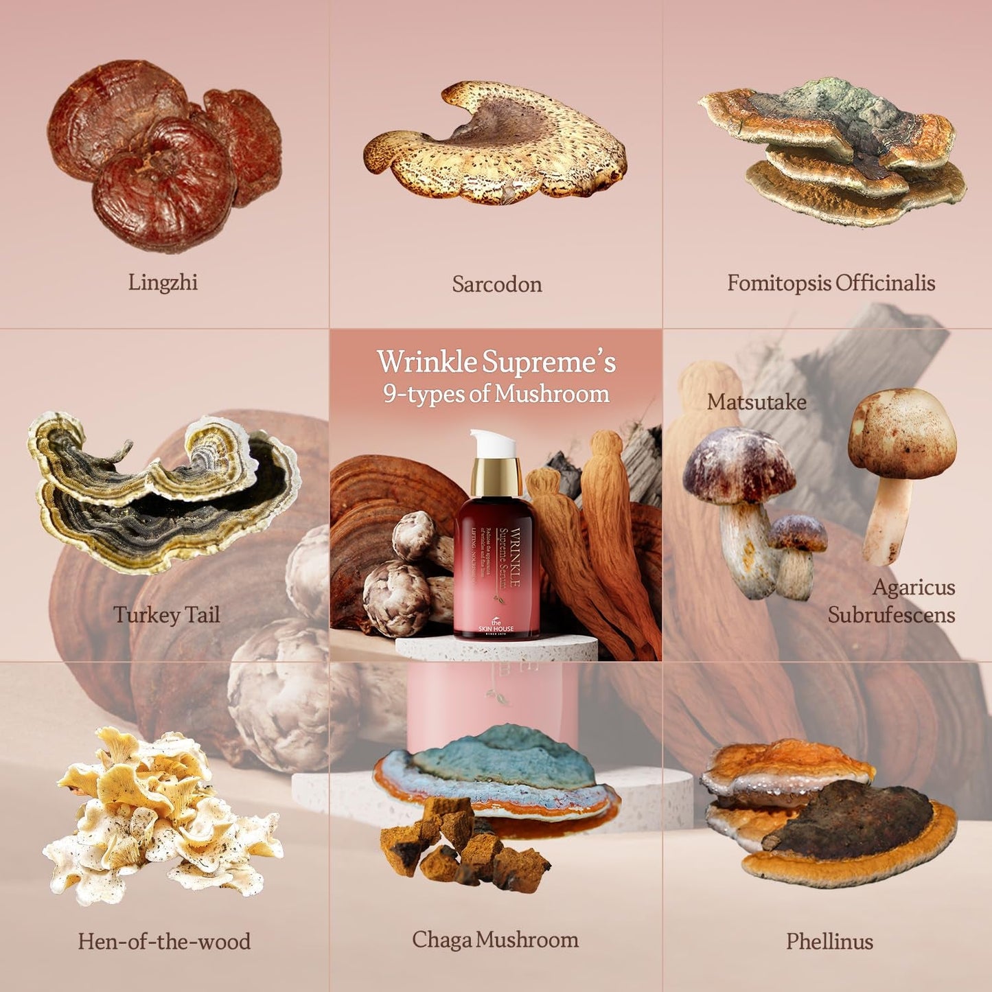 Wrinkle Supreme Serum 0.67 Fl. Oz. Trial-Size, Korean Red Ginseng, Mushrooms | Firming, Lifting, Fine Lines | Korean Skin Care, K-Beauty, 20Ml