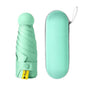 Travel Mini Umbrella for Purse