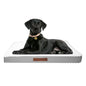 Wags & Whiskers Memory Foam Pet Bed - Assorted Styles