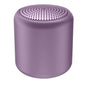 Wireless Mini InPods Speaker