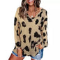 Women's V-Neck Leopard Print Inspired Top